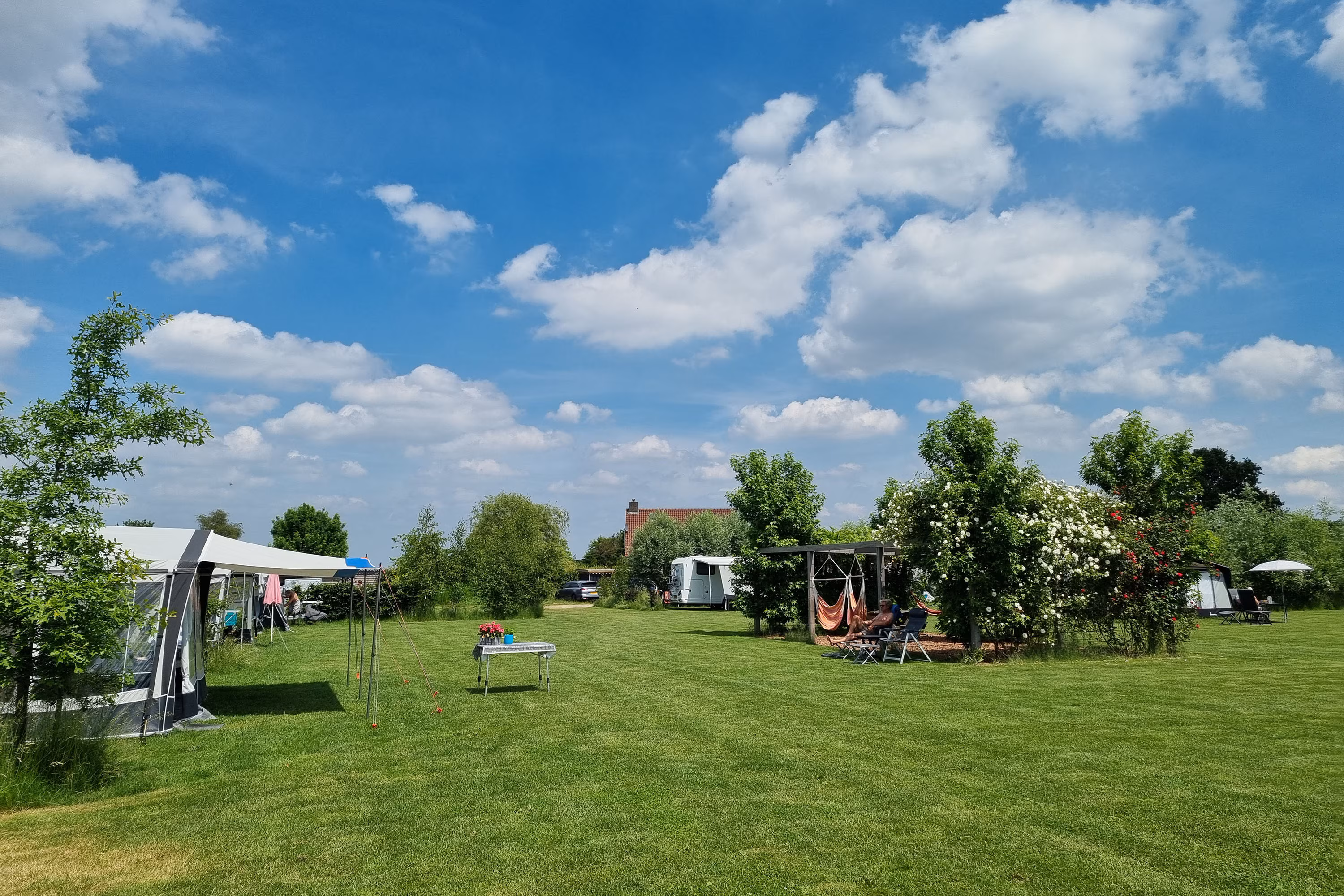 Someren nieuws: Altijd snel en actueel op de hoogte
